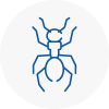 Ant Removals In Hawkwell