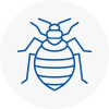Bed Bug Extermination In Hawkwell