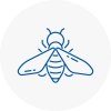 Bee Nest Removal Hawkwell
