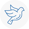 Bird Prevention Hawkwell