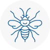 Hawkwell Hornet Nest Removals