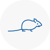 Mice Exterminators In Hawkwell