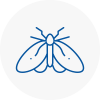 Moth Control Specialists In Hawkwell