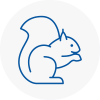 Hawkwell Rodent Removals